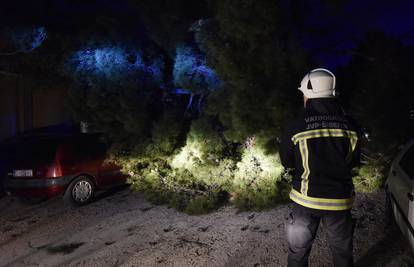 VIDEO Pogledajte kako izvlače automobile ispod stabala nakon orkanske bure u Dalmaciji