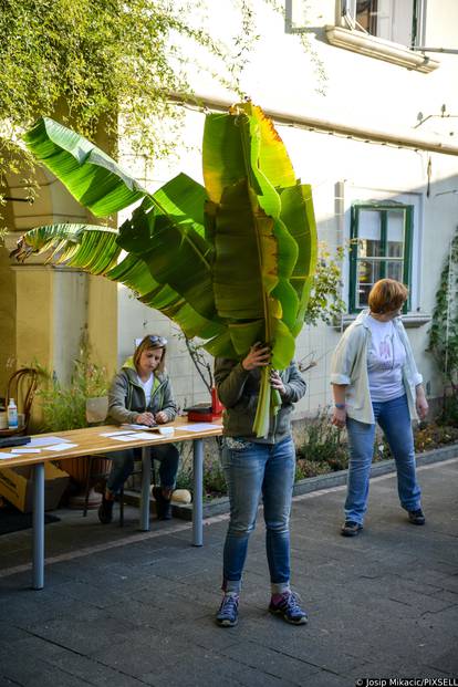 Zagreb: Veliki interes izazvala je godišnja rasprodaja viška biljaka u Botaničkom vrtu