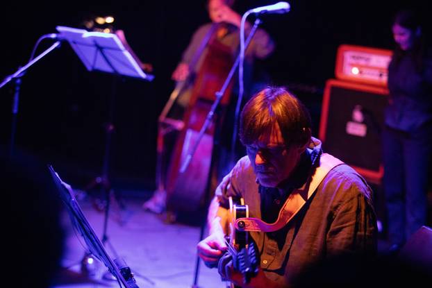 Zagreb: Koncert Vesne Pisarović u klubu Močvara