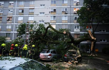 Grad Zagreb objavio je osobne podatke svih ljudi koji su prijavili štetu od nevremena...