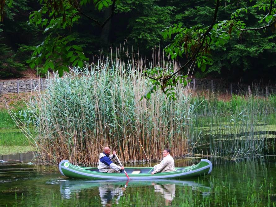 Upoznajte Park šumu Jankovac - očaravajuću oazu u srcu Papuka