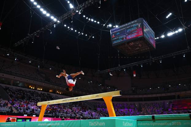 2025 World Artistic Gymnastics Championships