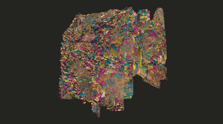 Fascinantno: Pogledajte dosad najkompleksniju mapu mozga