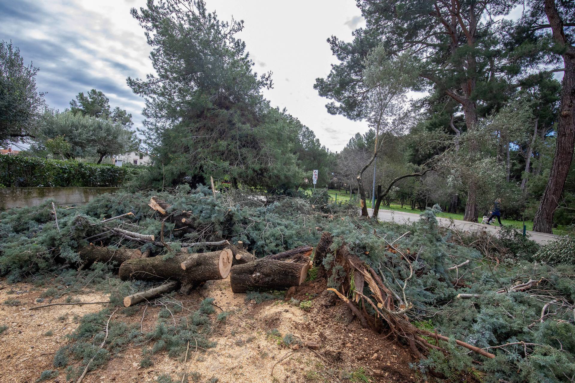 Posljedice jakog nevremena koje je poharalo Rovinj