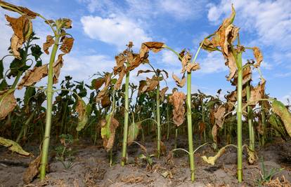 Proglasili prirodnu nepogodu od suše za područje Varaždina