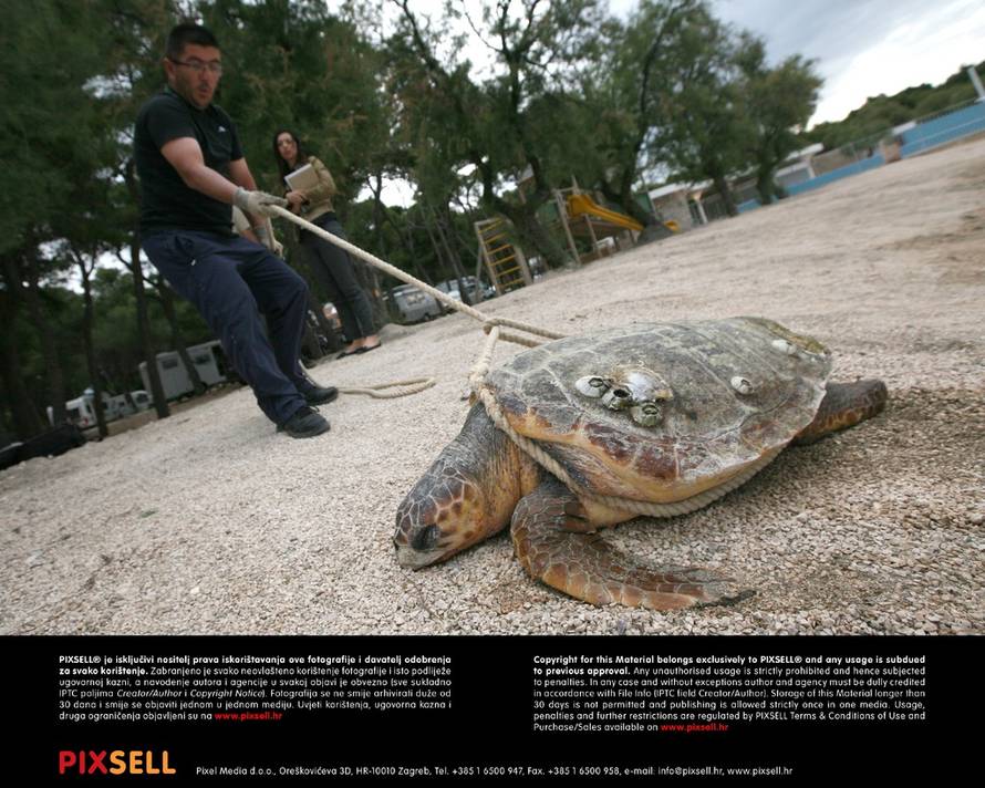 Duško Jaramaz/Pixsell