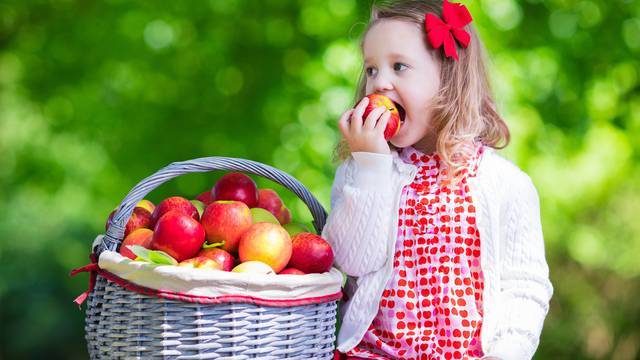 Child,Picking,Apples,On,A,Farm,In,Autumn.,Little,Girl