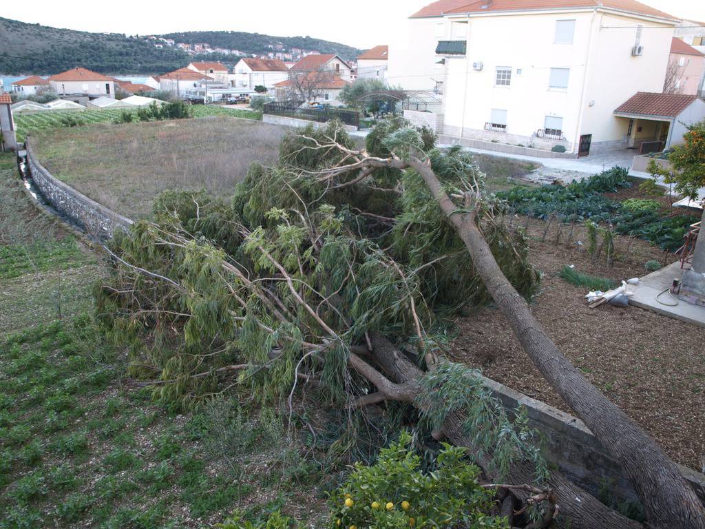 Olujni je vjetar rušio stabla i potapao barke u Dubrovniku