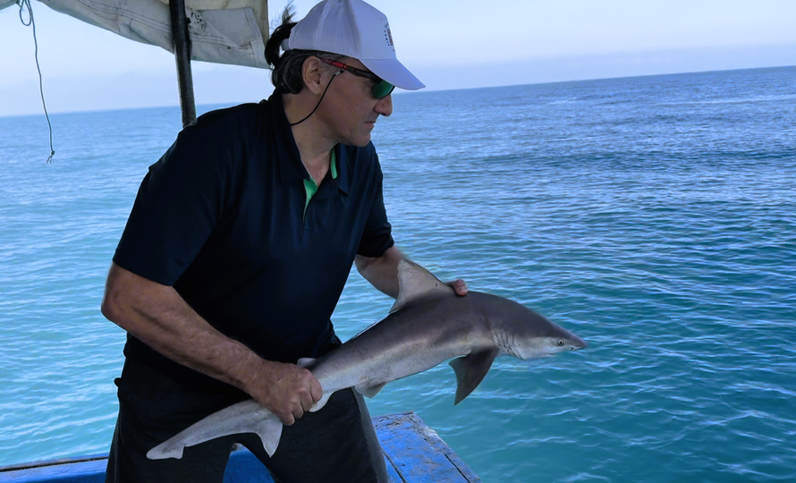 FOTO Izumrlu vrstu jadranskog ražopsa pronašli u Crnom moru. Soldo: Ovo je velik uspjeh