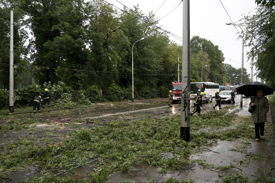 Zagreb: Palo stablo na Maksimirskoj, blokiran promet, vatrogasci na terenu
