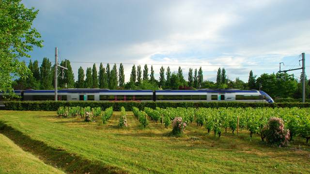 Train,In,Motion,Through,Green,Scenery,,France,,Europe