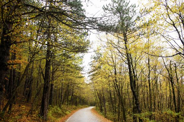 Vodice: Jesenja mističnost Ćićarije