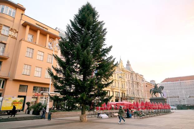 Zagreb: Na Trgu bana Jelačića postavljen bor