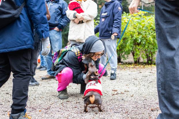 Zagreb: Adventska špica jazavčara 