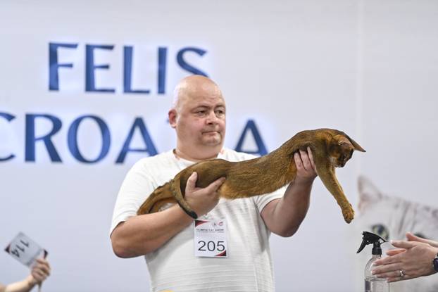 Zagreb: Međunarodna izložba mačaka WCF Cat Olimpia 2025