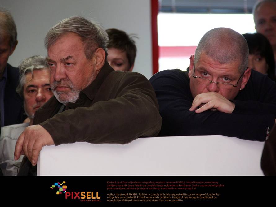 Ivana Ivanović/PIXSELL