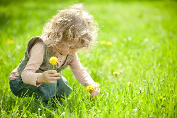 Beautiful,Child,Picks,Flowers,On,A,Spring,Green,Meadow