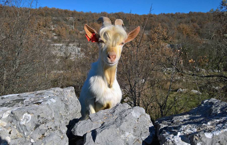 Tihomir (33) bio je u srpskom logoru, a sada nema ni za život