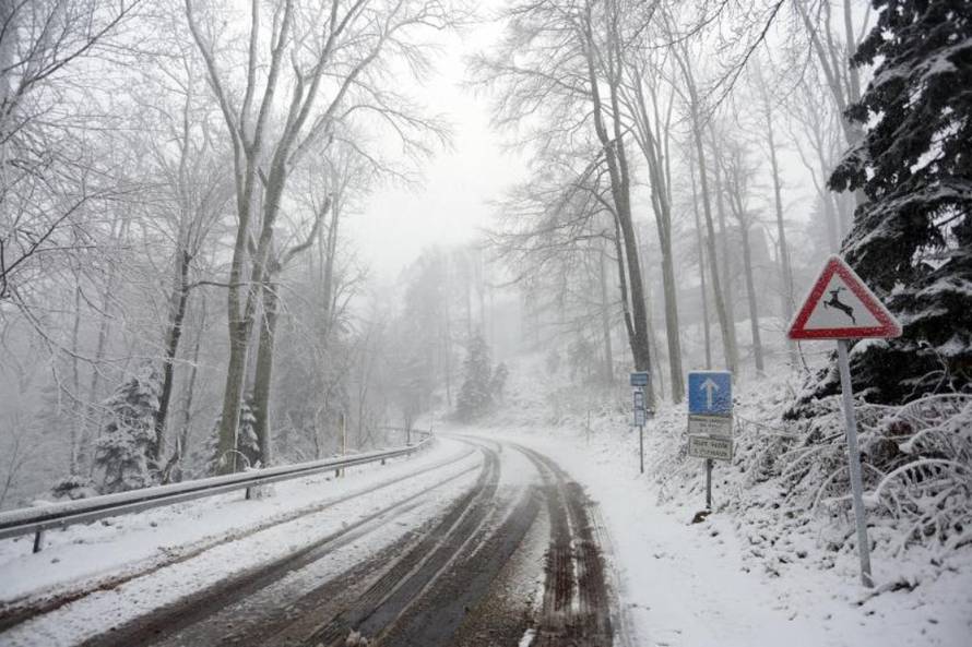 Borna Filić/Pixsell