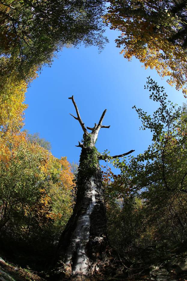 Nacionalni park Paklenica u jesenjem ruhu