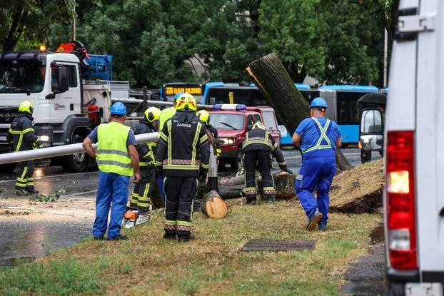Zagreb: Vatrogasci uklanjaju stablo koje je palo u Ulici Svetog Mateja