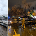 FOTO Olujno jugo u Splitu ruši sve pred sobom: Stablo palo na motore i štandove, srušen i stup