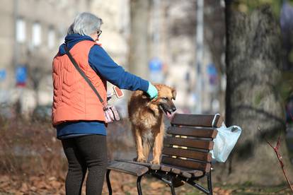 Jutarnja kozmetika i higijena vrlo su bitne u životu psa