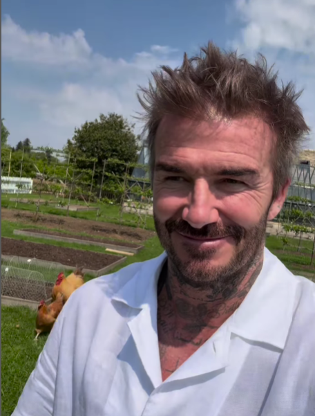 VIDEO Beckham ima novi hobi: Postao je farmer i uzgaja kokoši