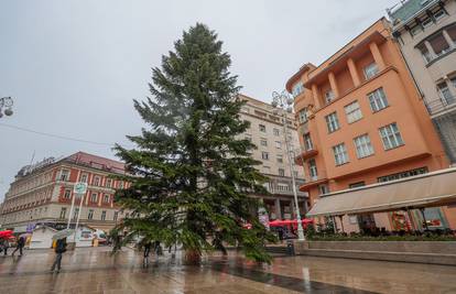 ANKETA Sviđa li vam se božićno drvce na zagrebačkom Trgu?