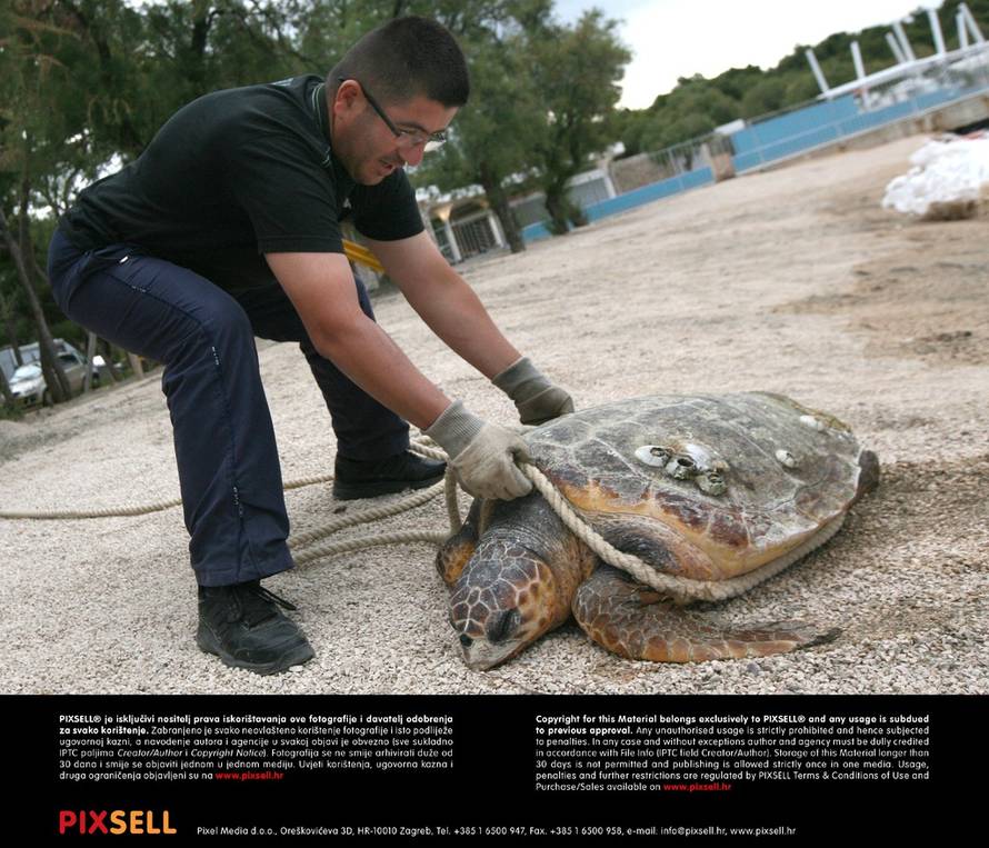 Duško Jaramaz/Pixsell