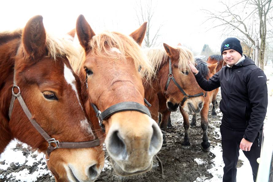 Da ove kobile nisu kod nas, vjerojatno bi bile u kobasama...