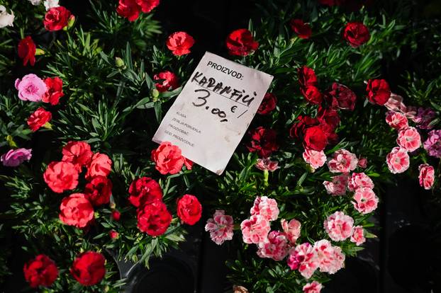 24sata Zagreb: Ponuda cvijeća na Dolcu 