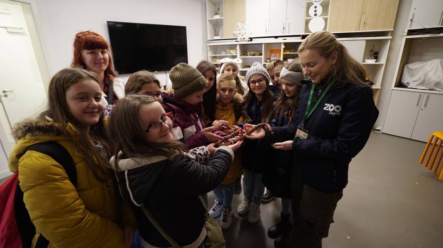 Božićno iznenađenje: Učenici iz Slavonije prvi put u Zoološkom