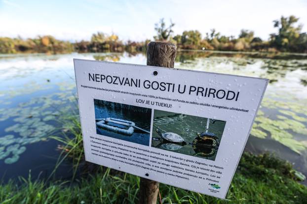 Zagreb: Ekološko-edukativna akcija "Sanacija ornitološkog staništa - S.O.S. Savica 2026"