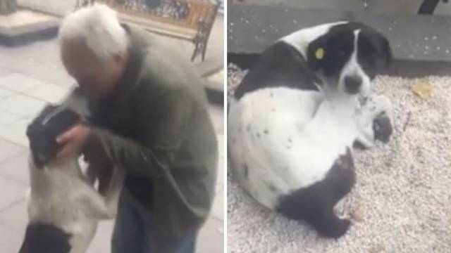 Emocije na vrhuncu: Vlasnik pronašao psa nakon tri godine