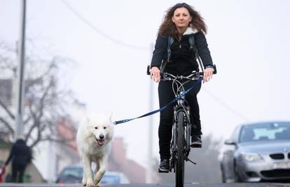 Biciklom ide na put oko svijeta, društvo će joj praviti njezin pas