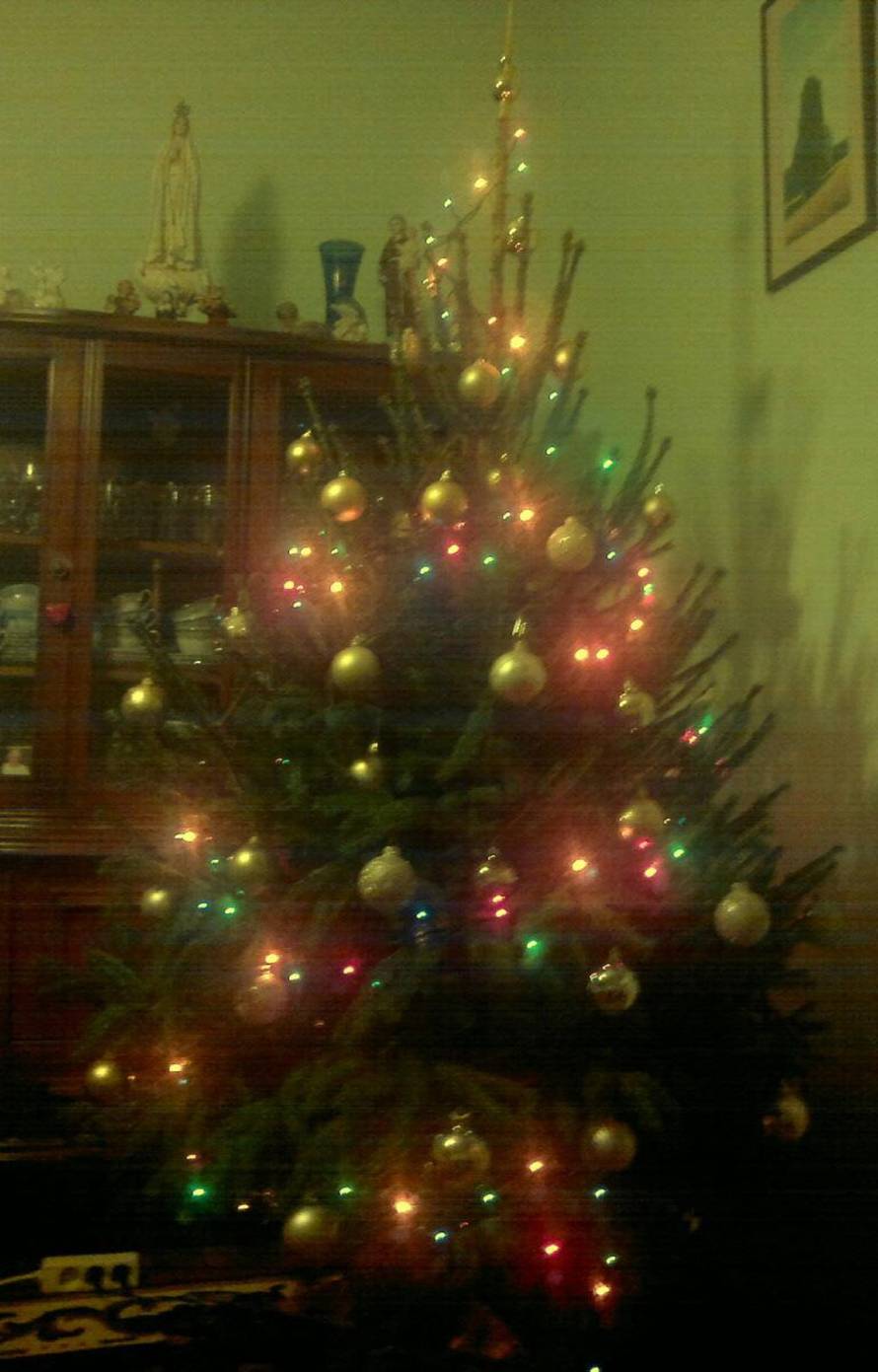 Šaljite fotografije božićnih jelki i osvojite vrijednu nagradu...