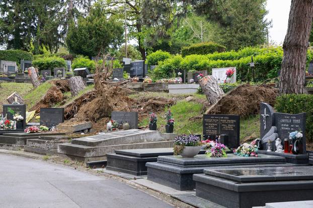 U oluji porušena stabla na Mirogoju napravila su veliku štetu