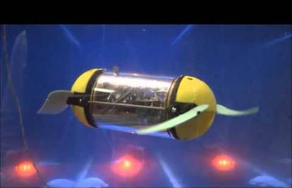 Kornjača-robot istraživat će tajne potonulih brodova