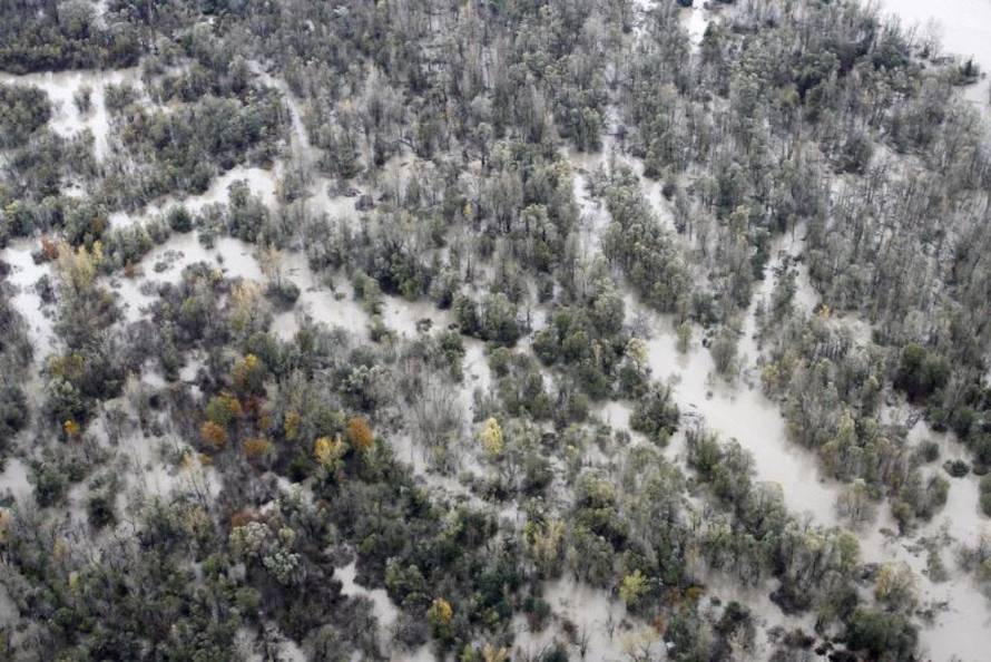 Vjeran Žganec-Rogulja/PIXSELL