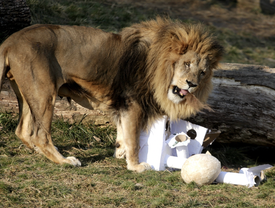 Idila nakon 'Farme': Tomislav Barbari kupuje raskošni prsten