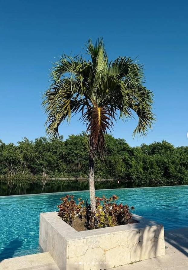 FOTO Sushi, sunce i zlatne plaže. Donna Vekić uživala u Meksiku, druge tenisačice joj pozavidjele
