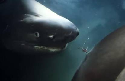Opasnost iz dubina: Gigantski morski psi napali podmornicu