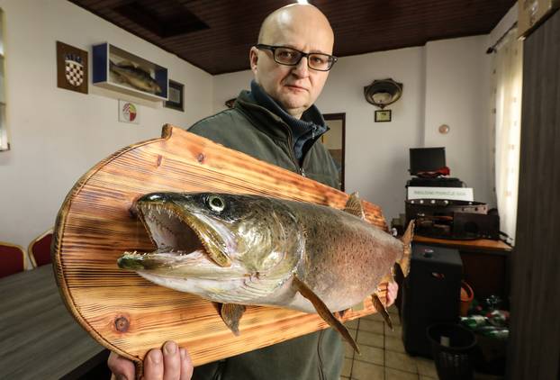 Jasenovac: Lov na ribu mladicu ili dunavski losos