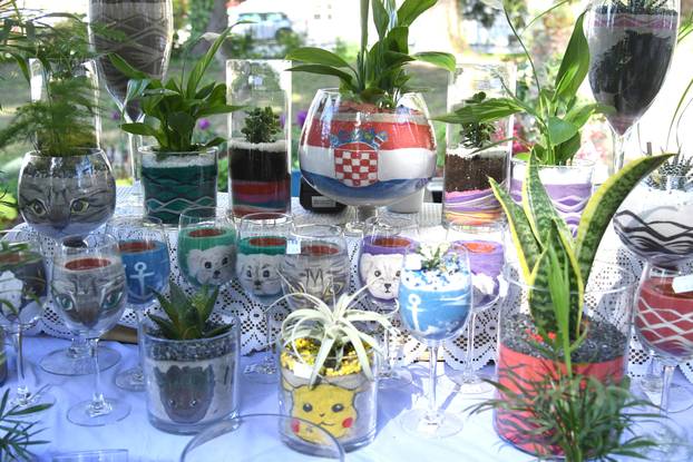 Daruvar: Sajam cvijeća, bilja i sadnica privukao mnogobrojne posjetitelje