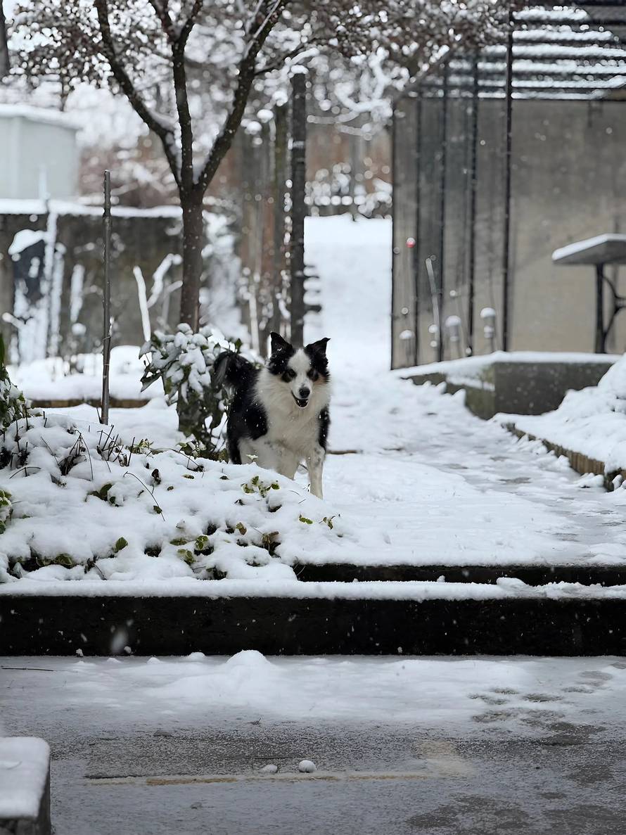 Općinska komunalka sama 'izlopatala' snijeg sa staze: 'Nema nikakve drame u tome'