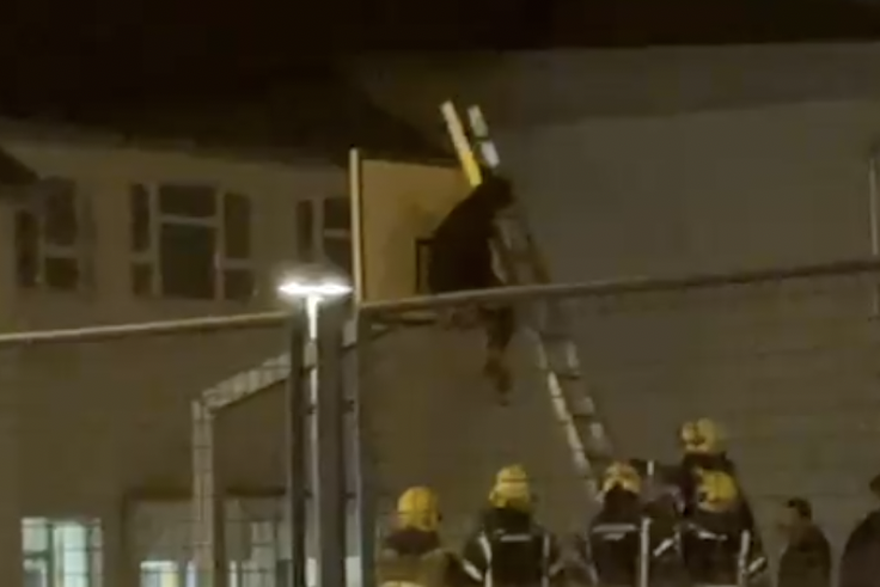 Vatrogasci spa&scaron;avaju osobu zapelu u ko&scaron;u