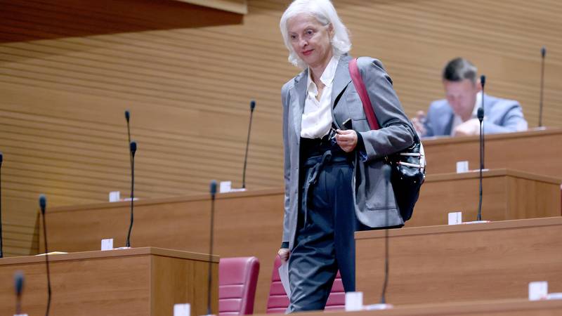 HDZ i Možemo! se prepucavali u Saboru o korupciji, Jandroković: 'To pričajte doma mami i tati...'