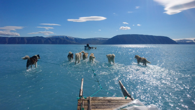 Alarmantna fotka s Grenlanda: Psi su vukli saonice kroz vodu