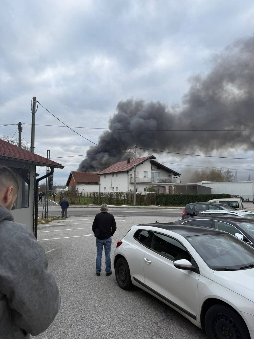 FOTO Strašne scene iz Sesveta: Požar u hali, diže se gusti dim